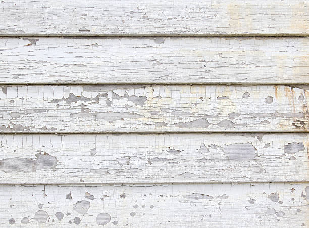Best Construction Debris Removal  in Dasher, GA